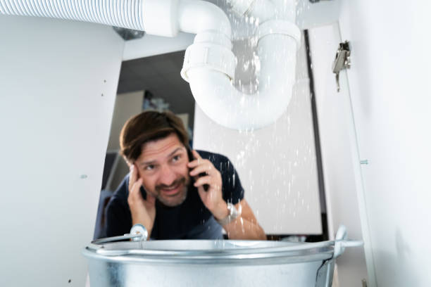 Sprinkler Systems in Kenhorst, PA